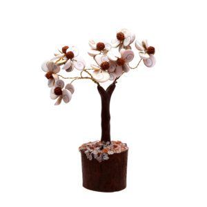 Gomti Chakra Tree with 54 Rudraksha Beads (White and Brown)
