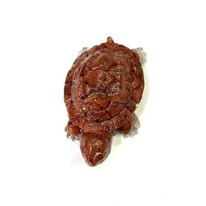 Red Jasper Tortoise