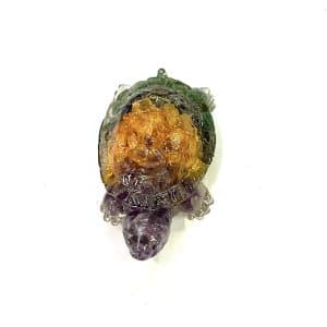 Money Magnet Tortoise